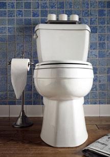 Our Sacramento Plumbing Service Clears Toilet Clogs